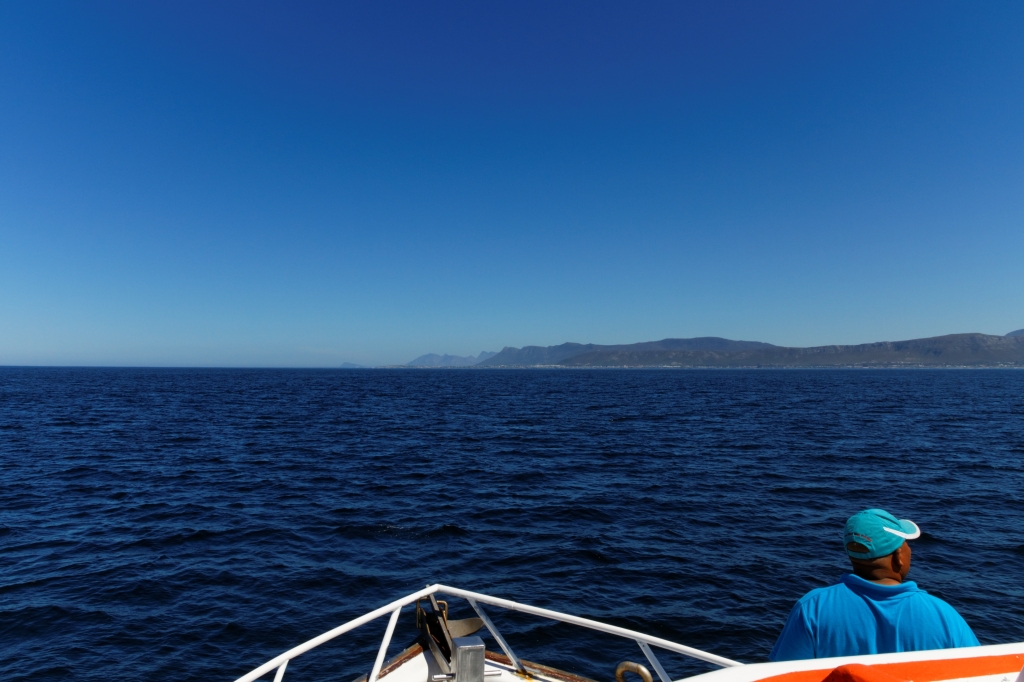 01- Hermanus (1).jpg